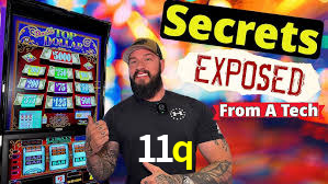 11q