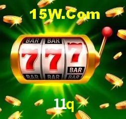 Experiência VIP 11q