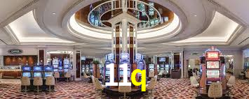 11q